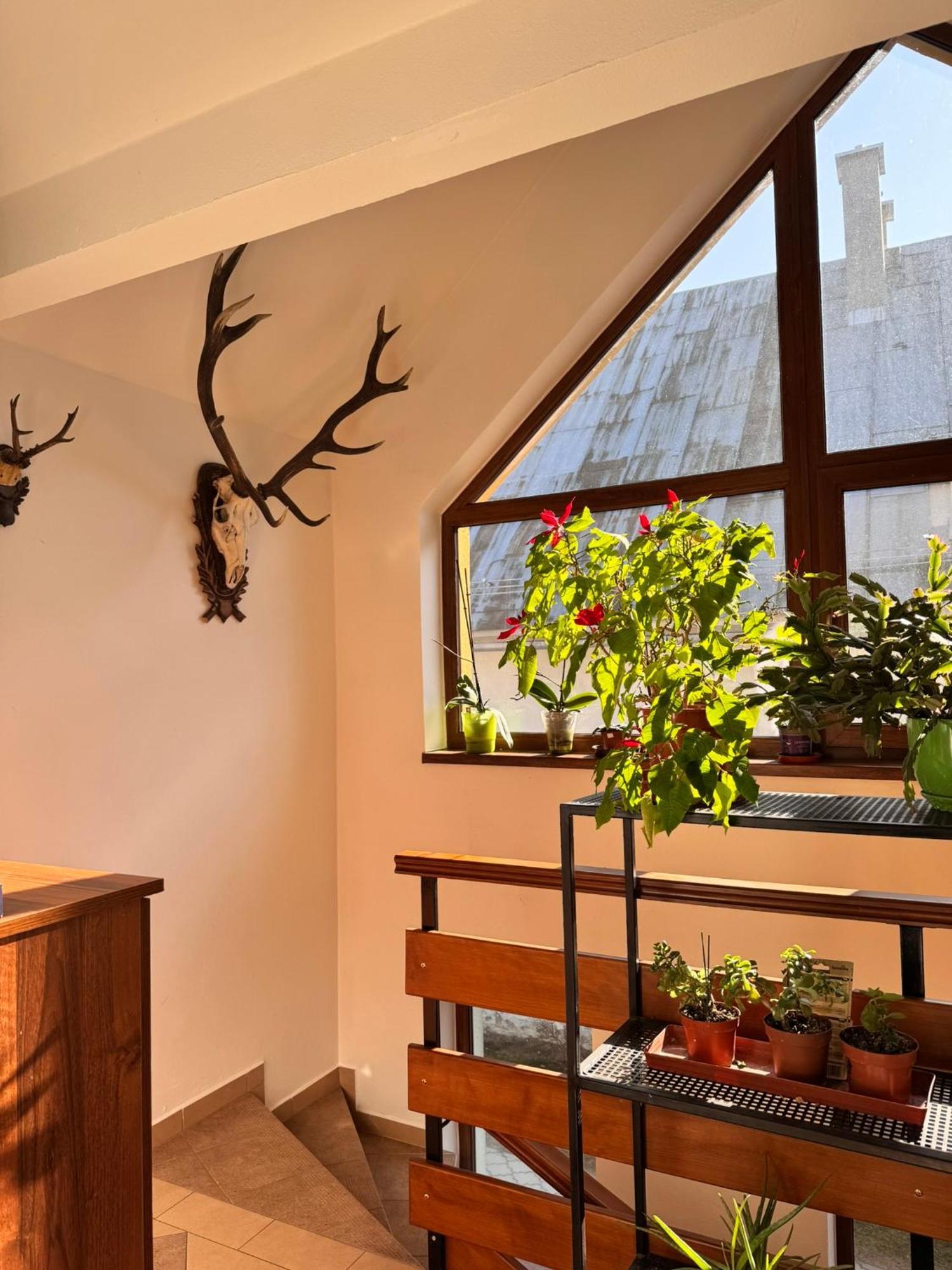 Apartmany Kenka Spisska Stara Ves Exteriér fotografie