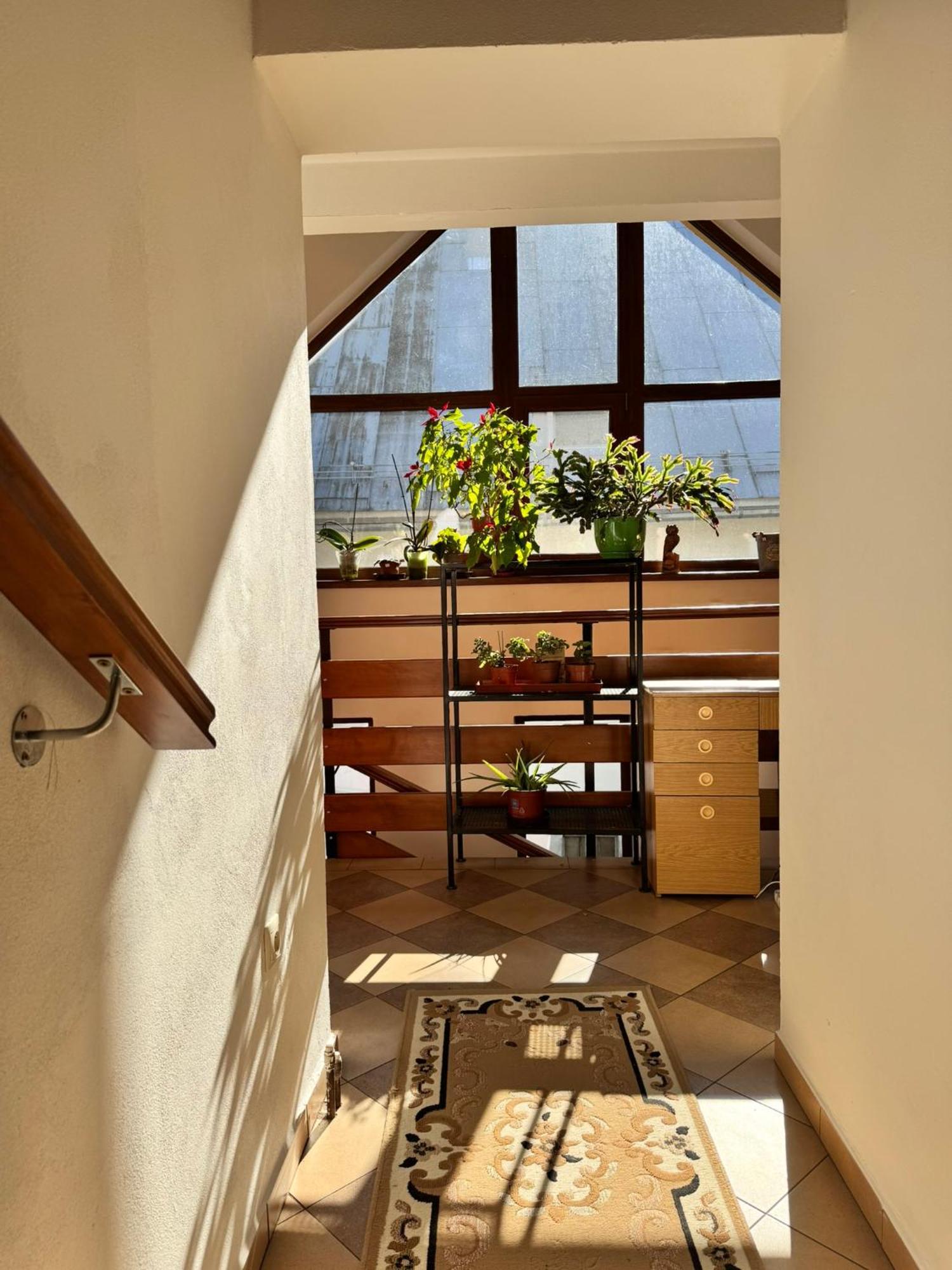 Apartmany Kenka Spisska Stara Ves Exteriér fotografie